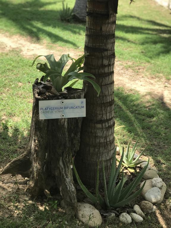 Hotel Pradomar Barranquilla  Ngoại thất bức ảnh